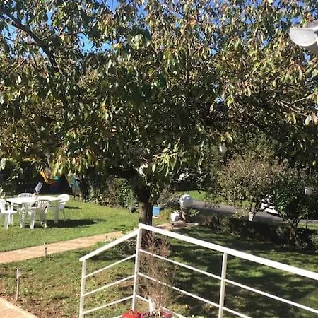 Maison Avec Veranda Proche Du Centre Holiday home *